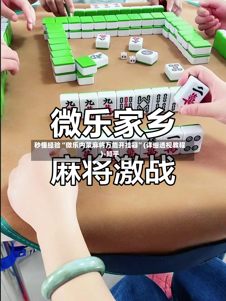 秒懂经验“微乐内蒙麻将万能开挂器”(详细透视教程)-知乎-第2张图片