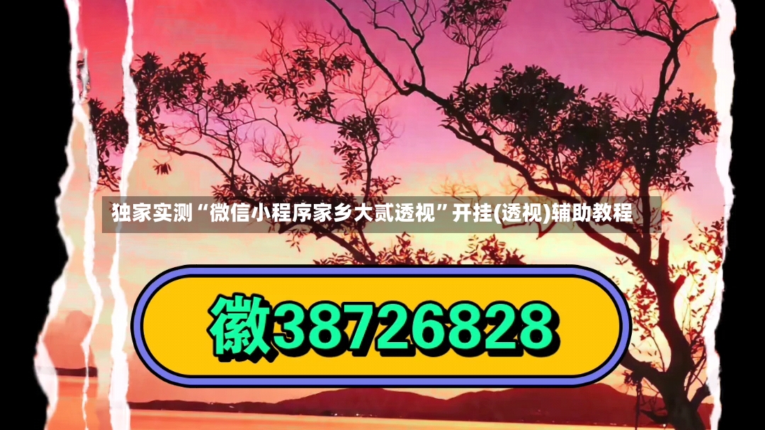 独家实测“微信小程序家乡大贰透视”开挂(透视)辅助教程