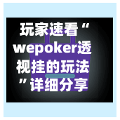 玩家速看“wepoker透视挂的玩法”详细分享装挂步骤-第2张图片