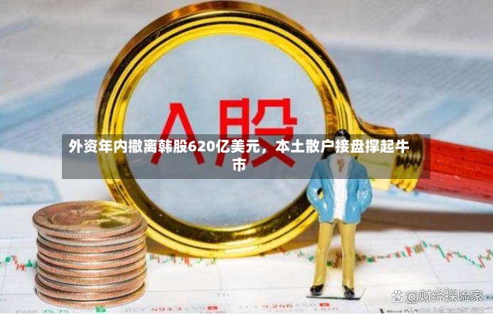 外资年内撤离韩股620亿美元，本土散户接盘撑起牛市-第2张图片