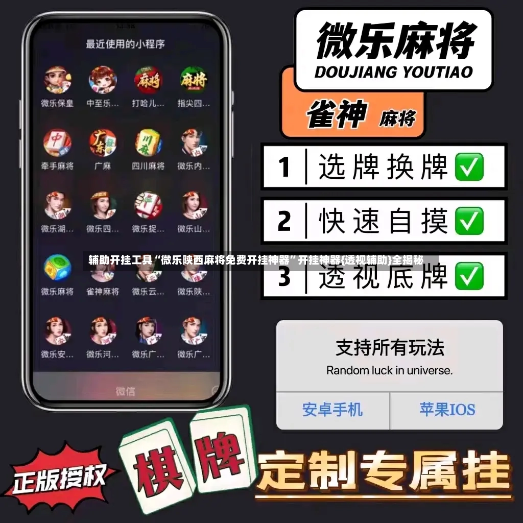 辅助开挂工具“微乐陕西麻将免费开挂神器	”开挂神器{透视辅助}全揭秘-第2张图片