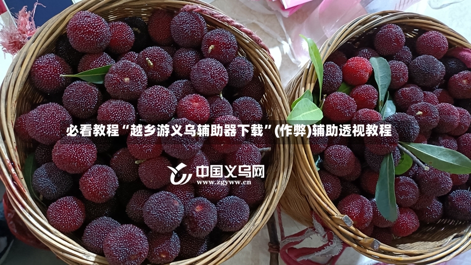 必看教程“越乡游义乌辅助器下载”(作弊)辅助透视教程