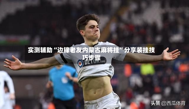 实测辅助“边锋老友内蒙古麻将挂	”分享装挂技巧步骤-第2张图片