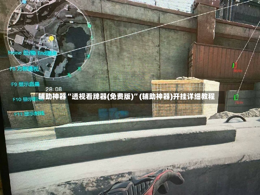 辅助神器“透视看牌器(免费版)	”(辅助神器)开挂详细教程-第3张图片