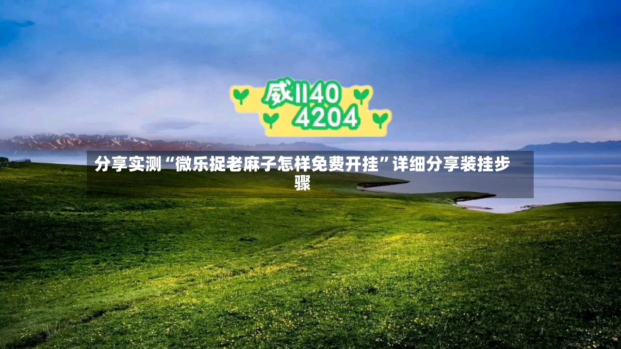 分享实测“微乐捉老麻子怎样免费开挂”详细分享装挂步骤