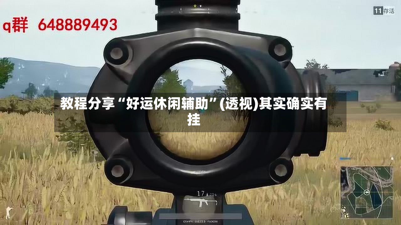 教程分享“好运休闲辅助	”(透视)其实确实有挂-第2张图片