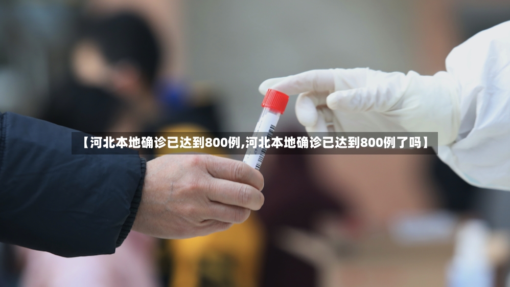 【河北本地确诊已达到800例,河北本地确诊已达到800例了吗】-第3张图片