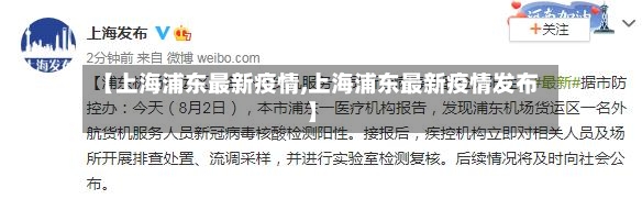 【上海浦东最新疫情,上海浦东最新疫情发布】-第2张图片