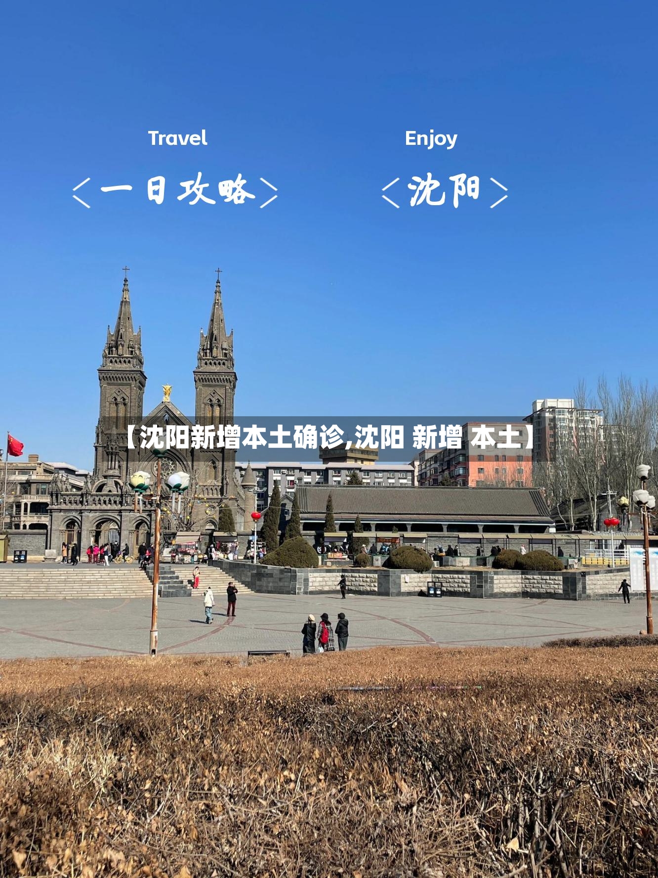 【沈阳新增本土确诊,沈阳 新增 本土】