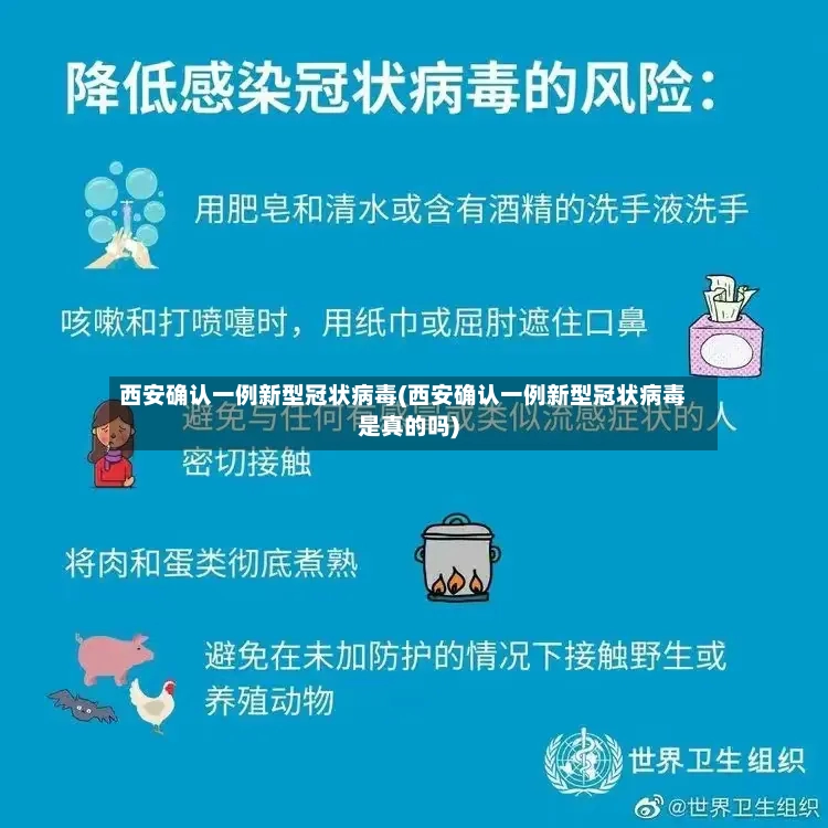 西安确认一例新型冠状病毒(西安确认一例新型冠状病毒是真的吗)-第2张图片