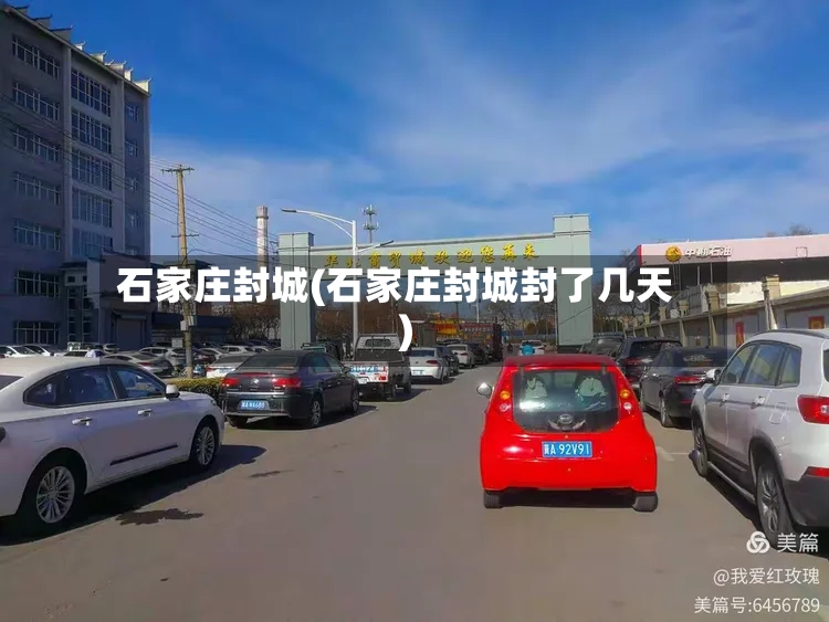 石家庄封城(石家庄封城封了几天)-第2张图片