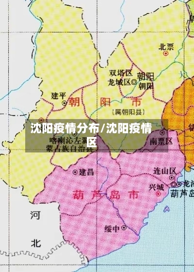 沈阳疫情分布/沈阳疫情区-第2张图片