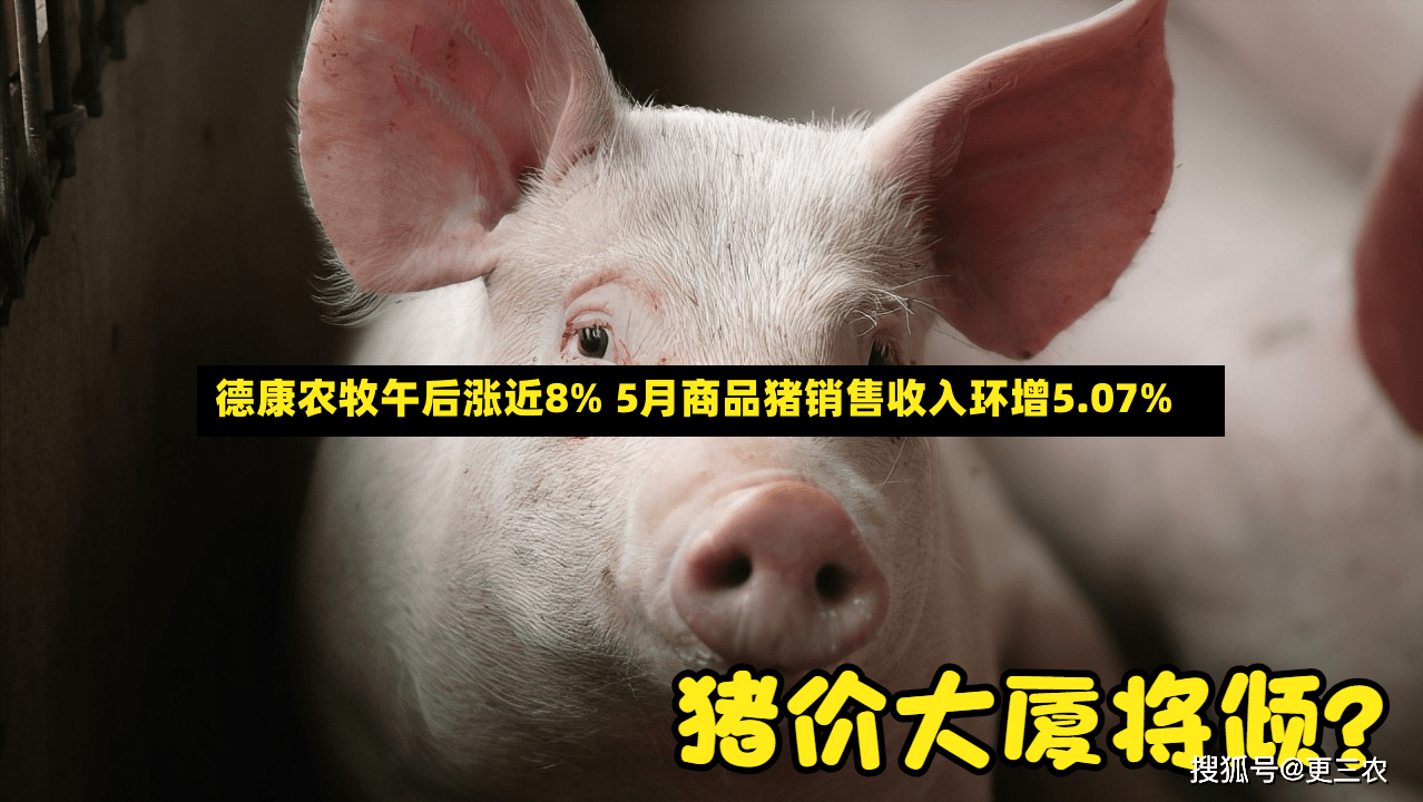 德康农牧午后涨近8% 5月商品猪销售收入环增5.07%-第2张图片