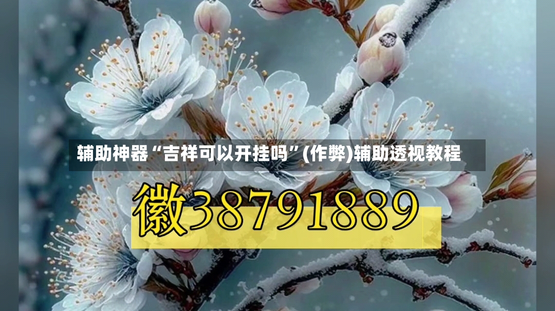 辅助神器“吉祥可以开挂吗	”(作弊)辅助透视教程-第2张图片