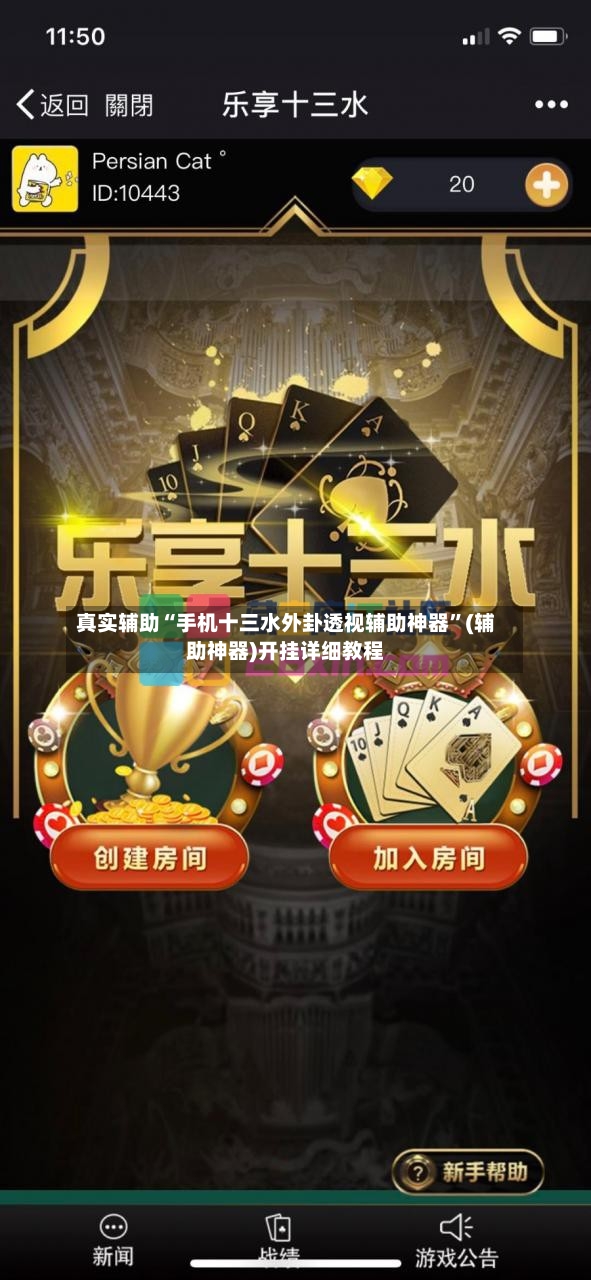 真实辅助“手机十三水外卦透视辅助神器”(辅助神器)开挂详细教程-第3张图片