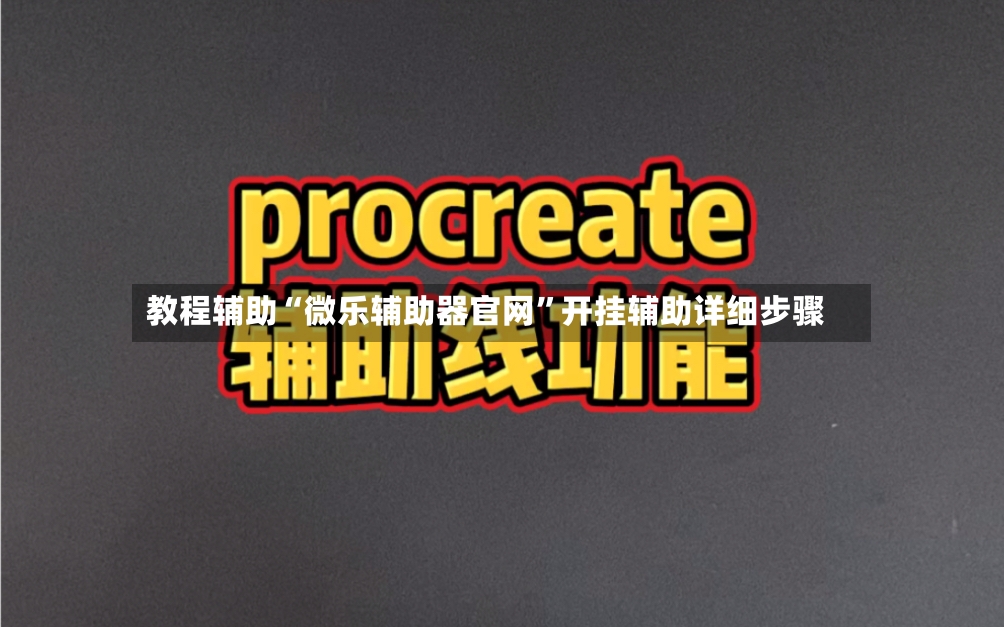 教程辅助“微乐辅助器官网”开挂辅助详细步骤-第3张图片