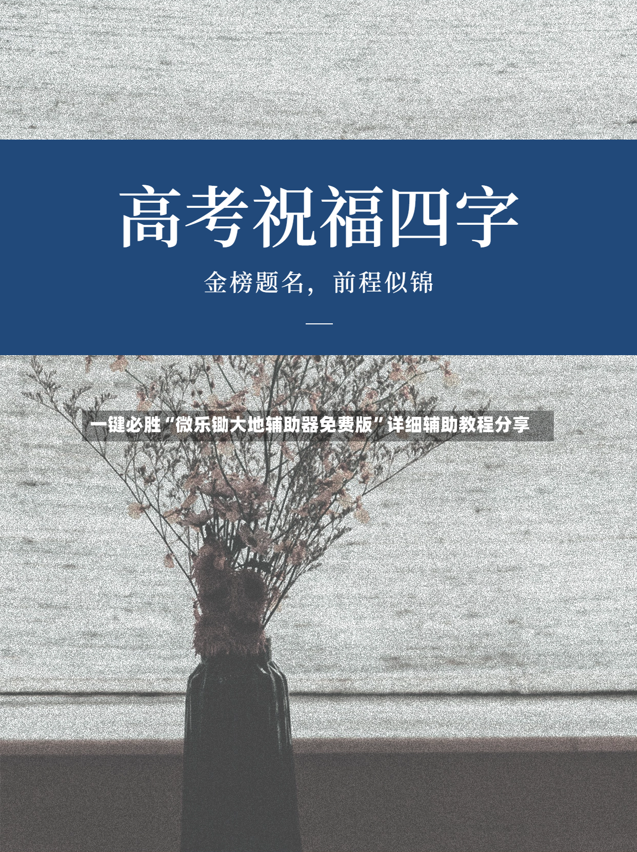 一键必胜“微乐锄大地辅助器免费版”详细辅助教程分享-第2张图片