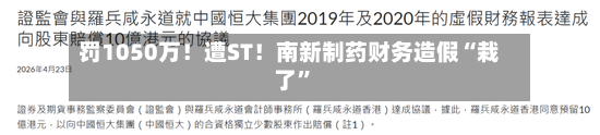 罚1050万！遭ST！南新制药财务造假“栽了	”-第2张图片