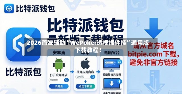 2026首发辅助“WePoker透视插件挂	”通用版下载教程！-第2张图片