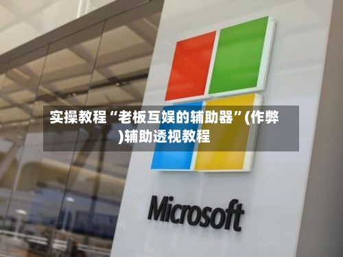 实操教程“老板互娱的辅助器”(作弊)辅助透视教程-第2张图片