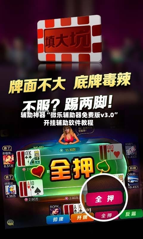 辅助神器“微乐辅助器免费版v3.0”开挂辅助软件教程