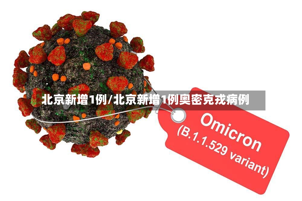 北京新增1例/北京新增1例奥密克戎病例-第2张图片