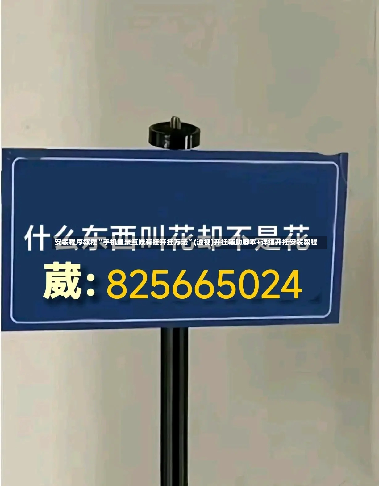 安装程序教程“手机皇豪互娱有挂开挂方法”(透视)开挂辅助脚本+详细开挂安装教程