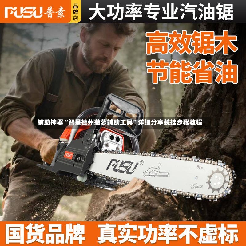 辅助神器“智星德州菠萝辅助工具”详细分享装挂步骤教程