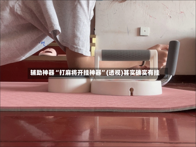辅助神器“打麻将开挂神器”(透视)其实确实有挂-第2张图片