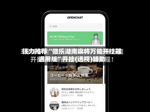 强力推荐“微乐湖南麻将万能开挂器通用版”开挂(透视)辅助-第2张图片