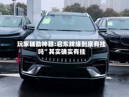 玩家辅助神器:启东牌缘到底有挂吗”其实确实有挂-第2张图片