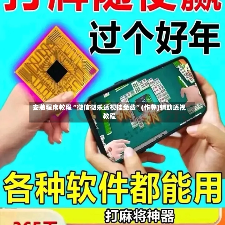 安装程序教程“微信微乐透视挂免费”(作弊)辅助透视教程-第2张图片