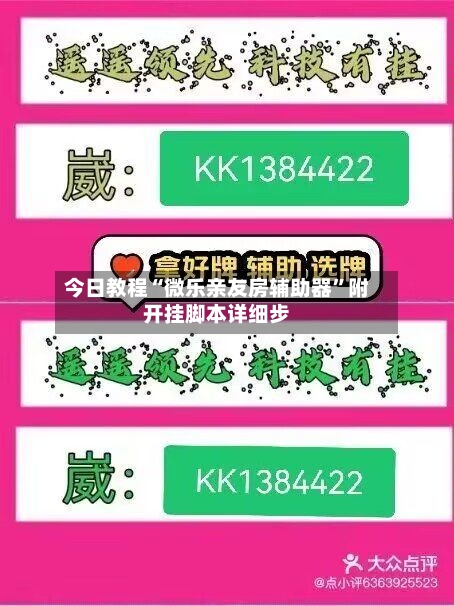 今日教程“微乐亲友房辅助器”附开挂脚本详细步-第3张图片