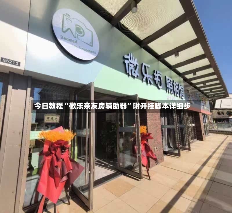 今日教程“微乐亲友房辅助器	”附开挂脚本详细步-第2张图片