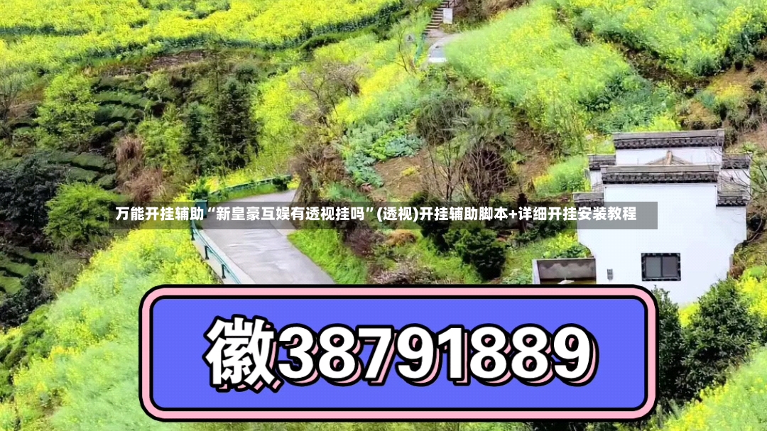 万能开挂辅助“新皇豪互娱有透视挂吗”(透视)开挂辅助脚本+详细开挂安装教程