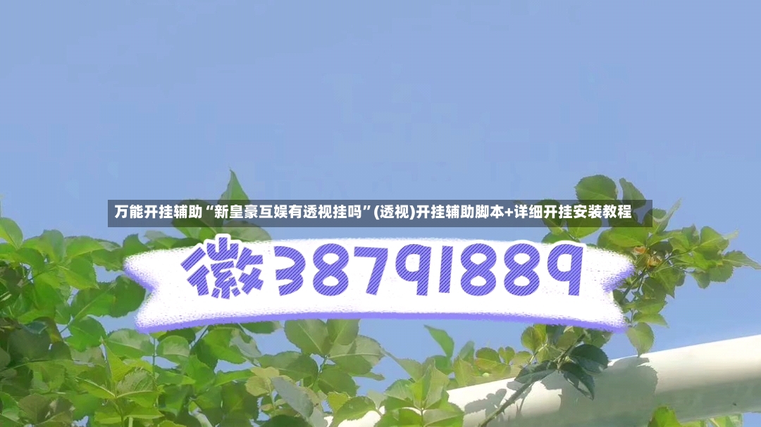 万能开挂辅助“新皇豪互娱有透视挂吗”(透视)开挂辅助脚本+详细开挂安装教程-第2张图片