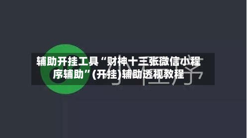 辅助开挂工具“财神十三张微信小程序辅助”(开挂)辅助透视教程-第2张图片
