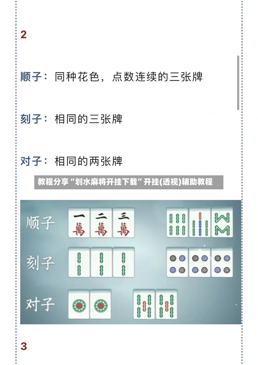 教程分享“划水麻将开挂下载”开挂(透视)辅助教程-第3张图片
