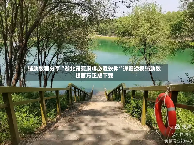 辅助教程分享“湖北雅苑麻将必胜软件”详细透视辅助教程官方正版下载-第3张图片
