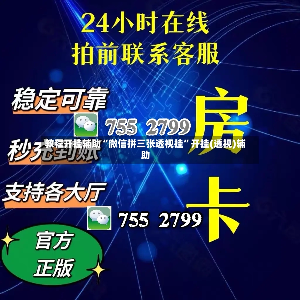 教程开挂辅助“微信拼三张透视挂	”开挂(透视)辅助-第3张图片