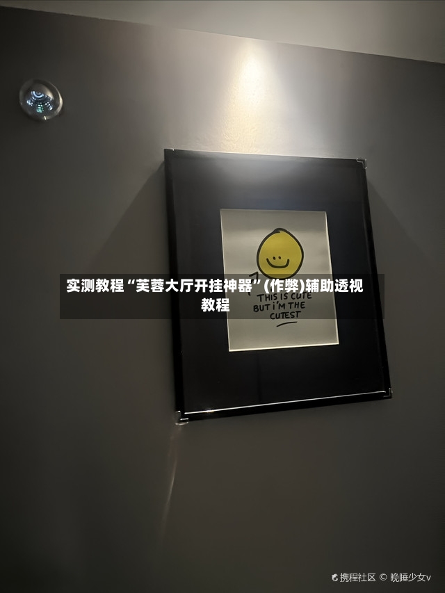 实测教程“芙蓉大厅开挂神器”(作弊)辅助透视教程-第3张图片