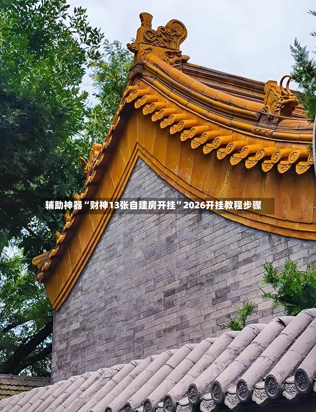 辅助神器“财神13张自建房开挂	”2026开挂教程步骤-第2张图片