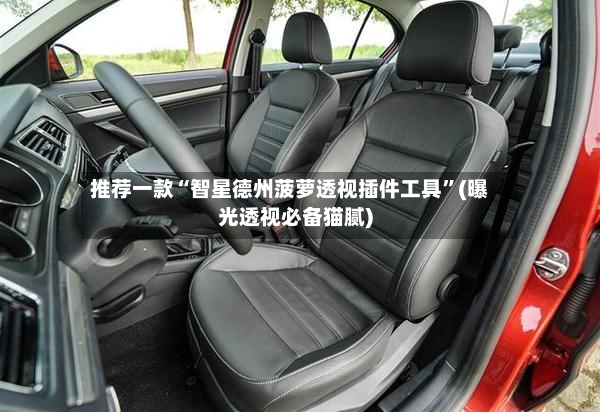 推荐一款“智星德州菠萝透视插件工具”(曝光透视必备猫腻)