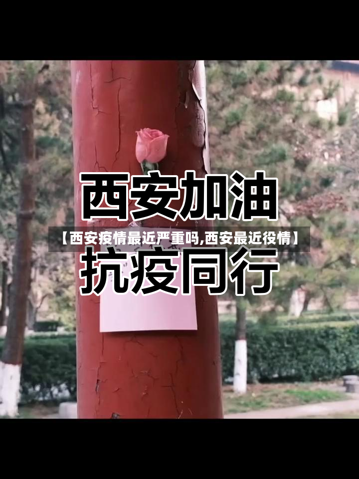 【西安疫情最近严重吗,西安最近役情】-第2张图片