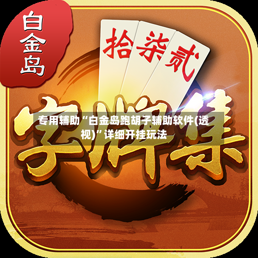 专用辅助“白金岛跑胡子辅助软件(透视)	”详细开挂玩法-第2张图片