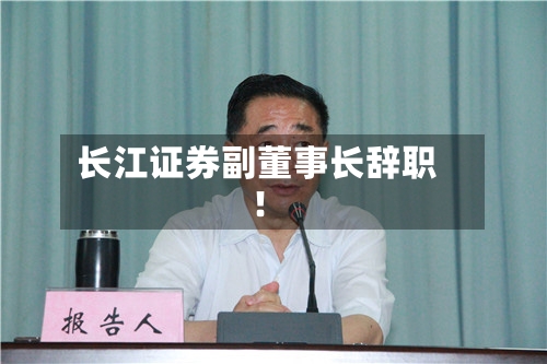 长江证券副董事长辞职!-第2张图片