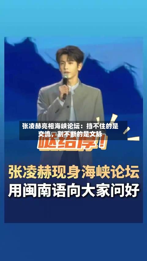 张凌赫亮相海峡论坛：挡不住的是交流，割不断的是文脉