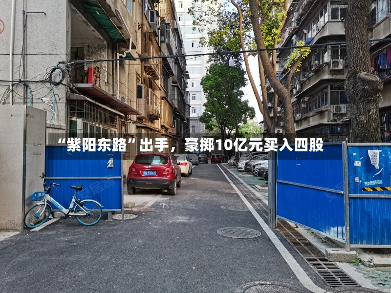 “紫阳东路”出手，豪掷10亿元买入四股-第2张图片
