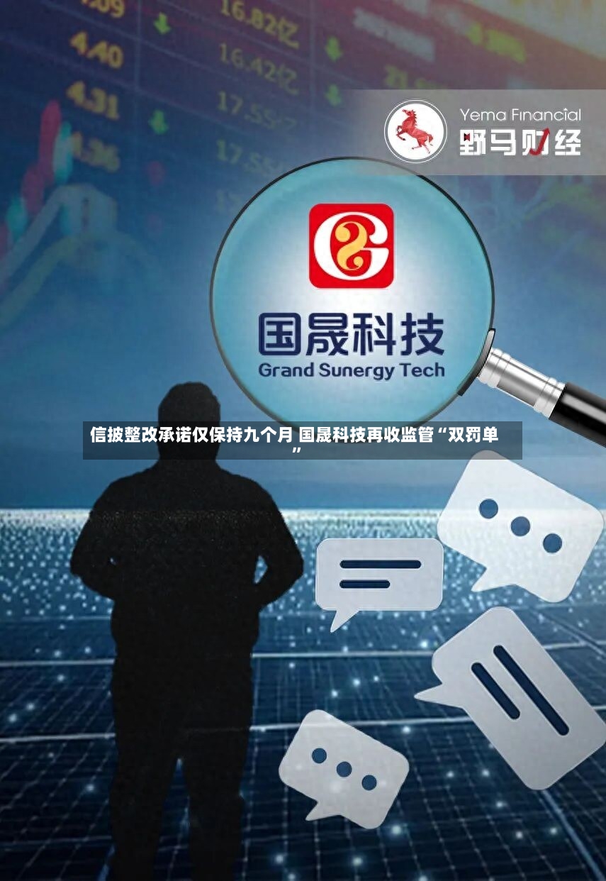 信披整改承诺仅保持九个月 国晟科技再收监管“双罚单”