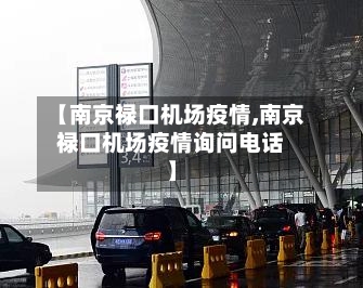 【南京禄口机场疫情,南京禄口机场疫情询问电话】-第3张图片